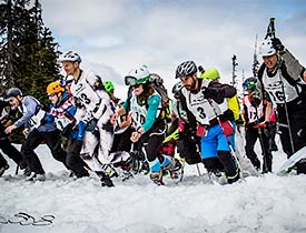 The Great<br />Snow-Earth-Water Race